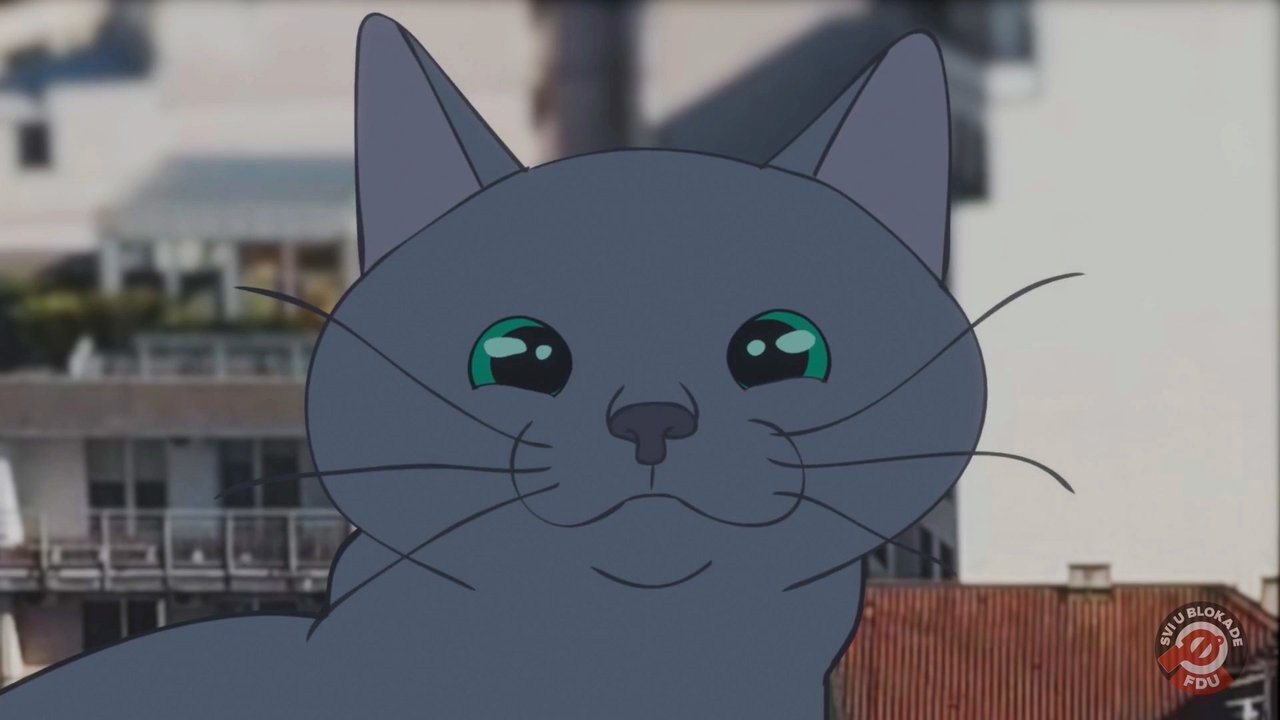 Who