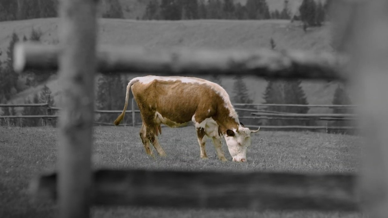 animal. Movie Screenshot 1