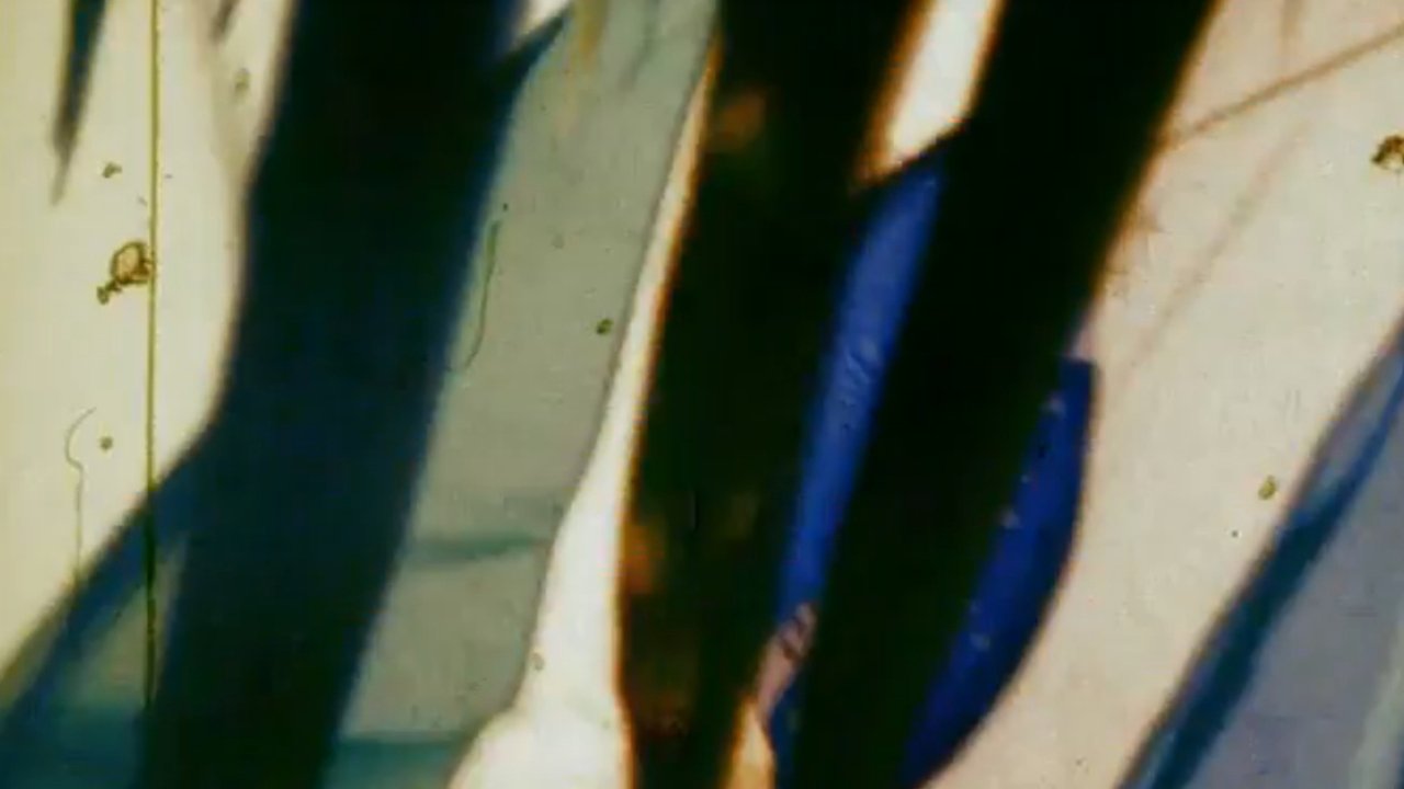 Nosferato in Brazil Movie Screenshot 2