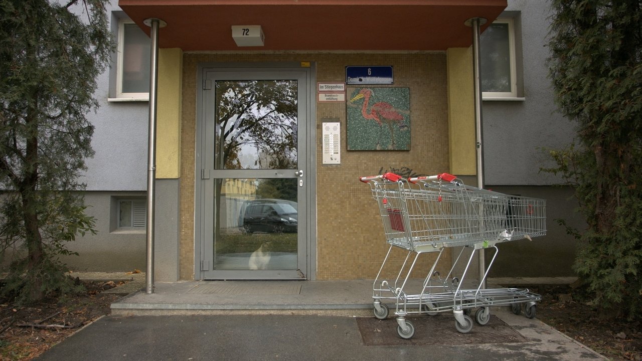 SHOPPING CART Movie Screenshot 1
