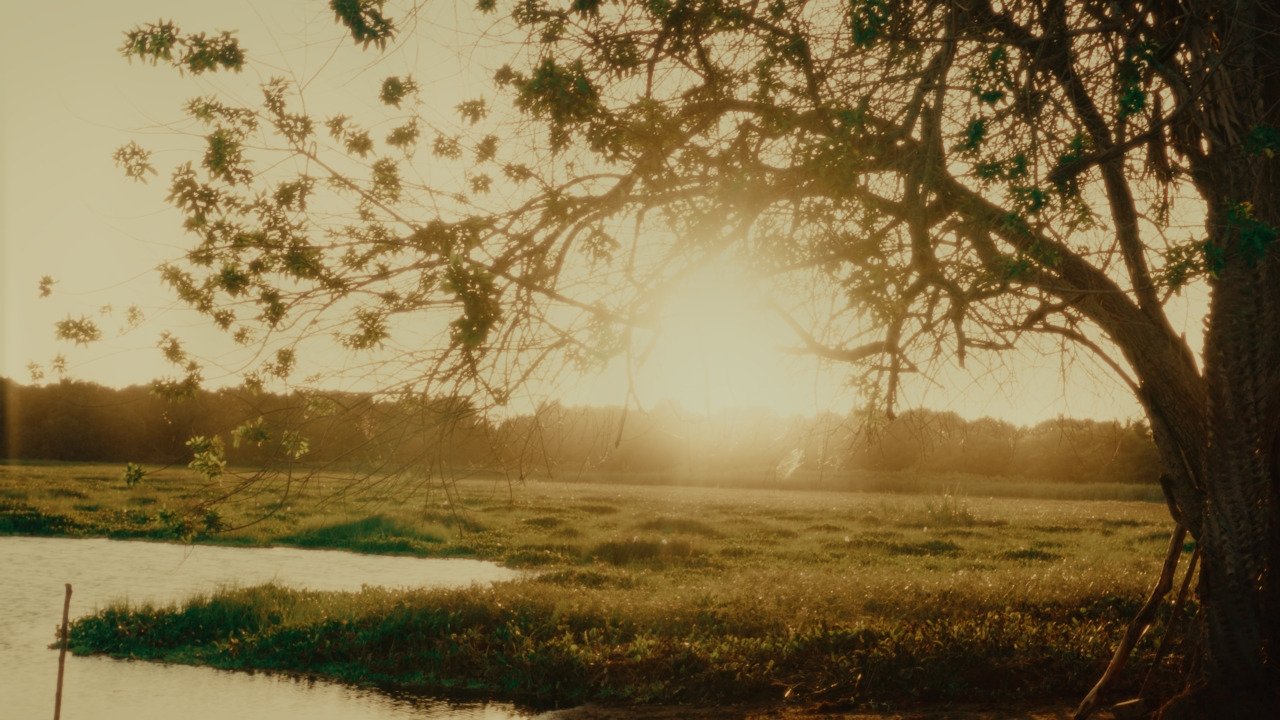 Por Todos Os Lugares Que Já Passei Movie Screenshot 1