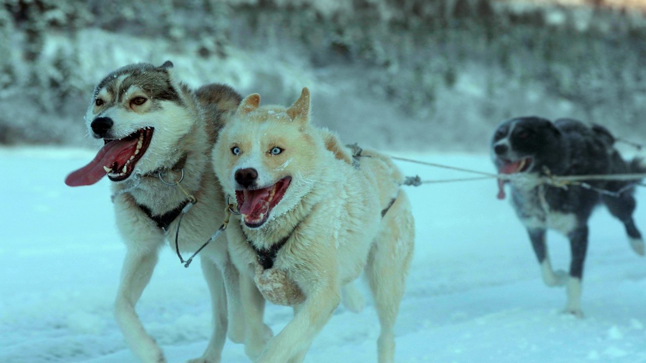 FOLKTALES Movie Screenshot 3