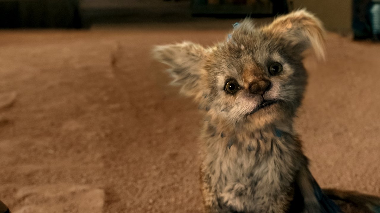 Chupa Movie Screenshot 3