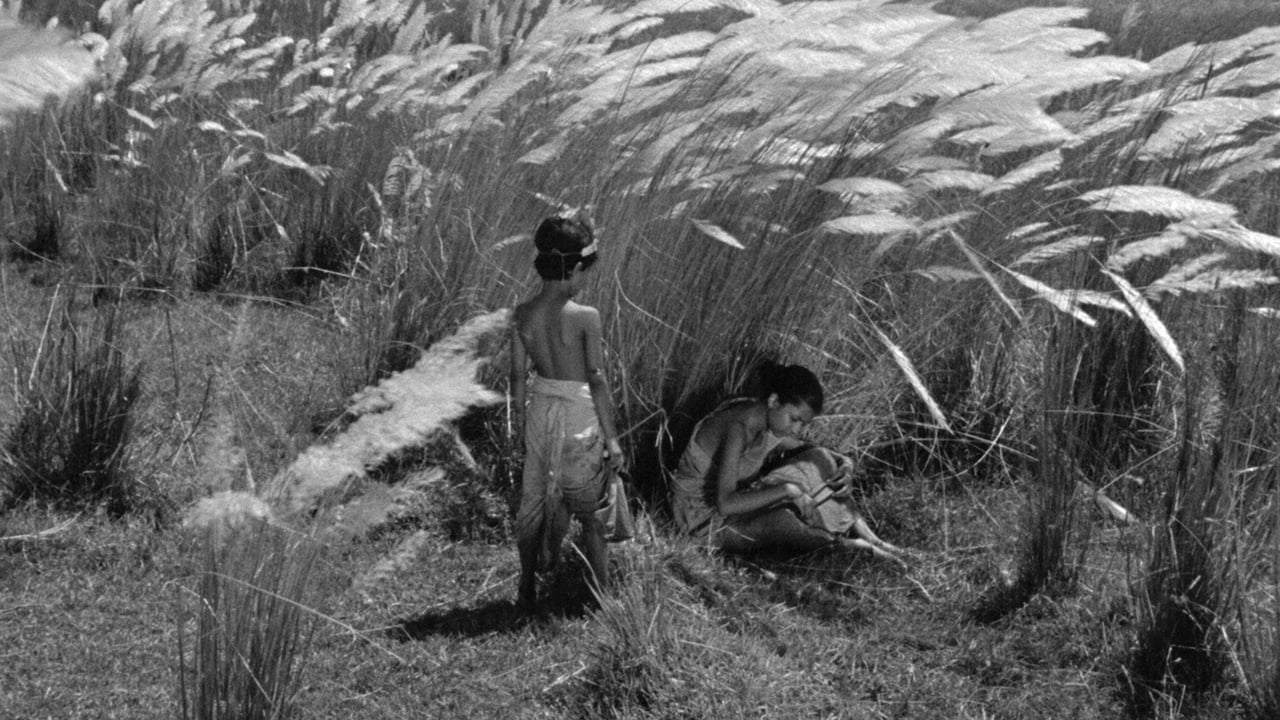 Pather Panchali Movie Screenshot 1