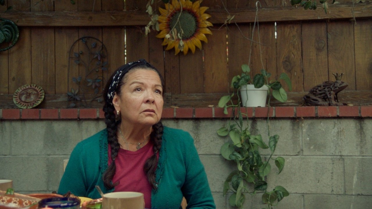Lucía, the Woman Without a Face Movie Screenshot 5