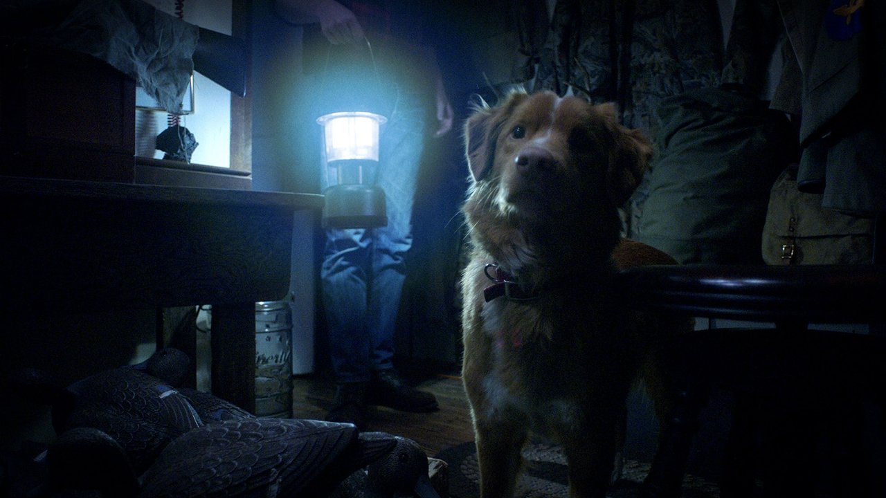 Good Boy Movie Screenshot 1