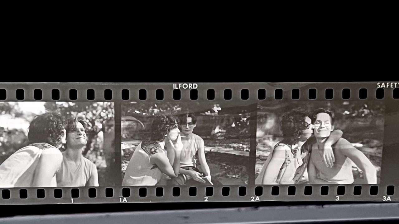 Falando das Flores Movie Screenshot 1