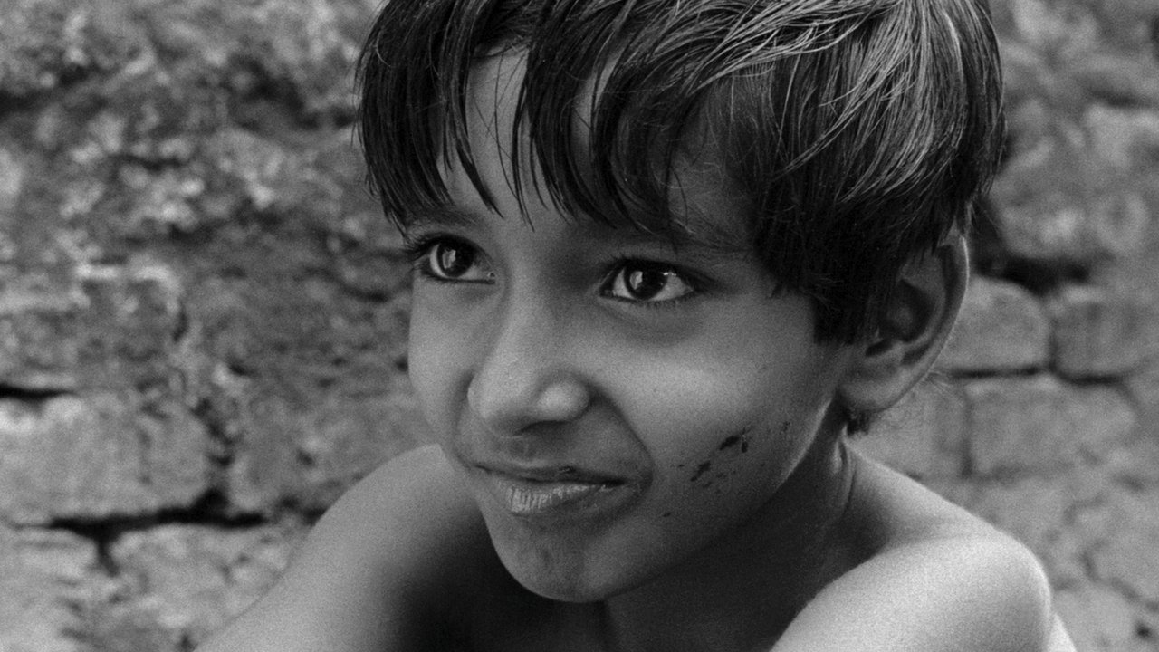 Pather Panchali Movie Screenshot 2