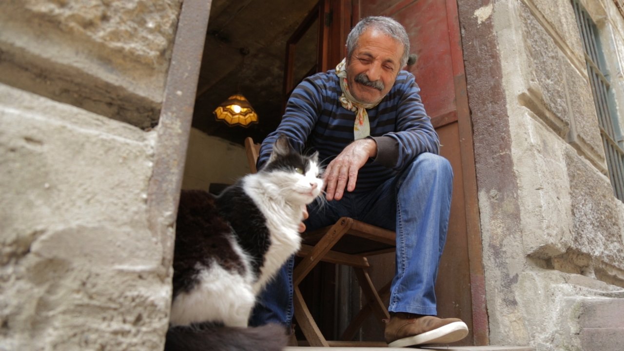 Kedi Movie Screenshot 1